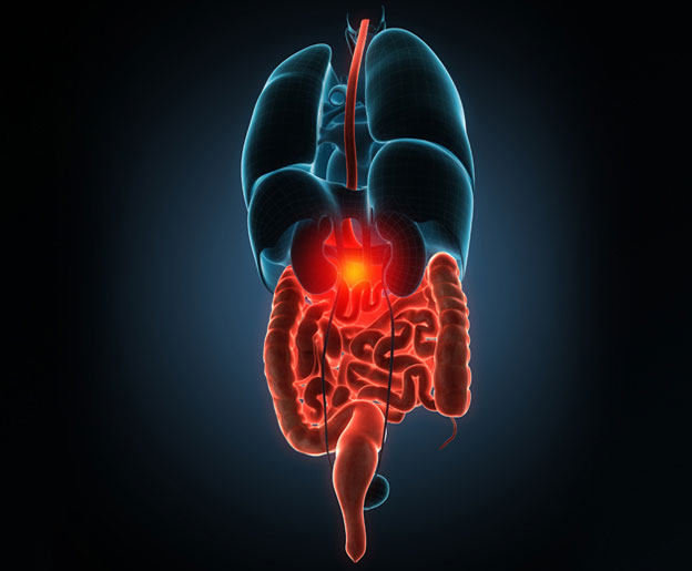 eb8bb-gi_n_hepatobiliary.jpg